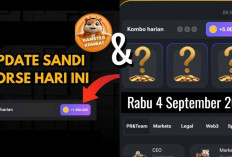 Sandi Harian dan Combo Harian Hamster Kombat Hari Ini Rabu 4 September 2024