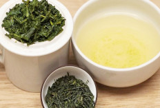 Teh Hijau Bukan Sekadar Minuman Segar, Ini Manfaat Khusus Orang Asia