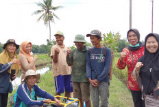 Antisipasi Kemarau Panjang Ini yang Dilakukan Dinas Pertanian Kota Lubuk Linggau