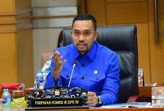 Ahmad Sahroni Mendadak Dicopot dari Komisi III DPR, NasDem Bongkar Alasannya