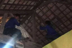 Damkar Musi Rawas Evakuasi Ular di Loteng Rumah Warga 