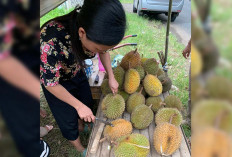 Penting, Ternyata Begini Cara Sehat Konsumsi Durian