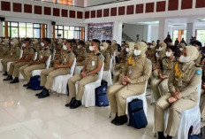 Resmi Dimulai 29 Juni, Ini Cara Daftar STIS 2025, Sekolah Kedinasan Bergaji PNS