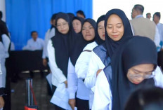 Soal PPPK Paruh Waktu Ini Penjelasan BKPSDM Lubuk Linggau