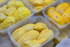Durian Kupas Asal Lubuk Linggau Kian Laris, Praktis Siap Santap