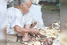 22 Tahun Tekuni Pembuatan Lanting, Warga Musi Rawas Hantarkan Anak Hingga Sarjana