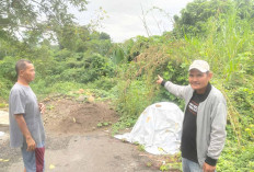 Di Kelurahan Taba Pingin Akan Dibangun Jembatan Ini Tanggapan Warga  