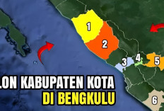 Ada Wacana 7 Kabupaten dan Kota di Provinsi Bengkulu Bakal Dimekarkan, Ini Daftarnya