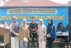 Langkah Kecil, Pembelajaran Besar: Kisah Mahasiswa UNPARI Merintis Usaha Ternak Ayam