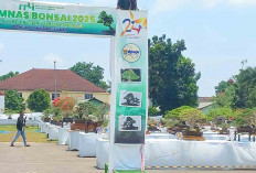 Takjub! Pameran Bonsai Nasional 2025 Lubuk Linggau Tawarkan Cerita Alam Ukuran Mini