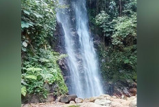 Air Terjun Bioa Bes Lebong  dari Hutan Tropis Keindahan yang Jernih