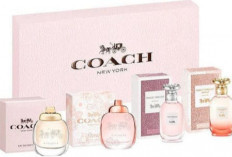 5 Rekomendasi Parfum Coach Terbaik, Dengan Aroma yang Tahan Lama 