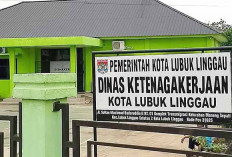 Pencaker di Lubuk Linggau Bisa Pantau Siap Kerja ID, Pahami Pentingnya Prosedur PKWT