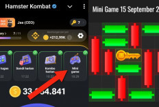 Kunci Mini Game Hamster Kombat Hari Ini Minggu 15 September 2024, Ini Polanya