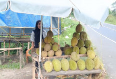 Sunarti, Warga Musi Rawas ini Bisa Tingkatkan Ekonomi Keluarga dari Berjualan Buah Durian