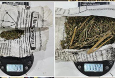 Simpan Ganja Warga Lubuk Linggau Ditangkap Polisi, BB Disimpan di Celana dan Dompet