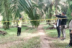 Detik-detik Pria Penunggu Durian Ditemukan Tak Bernyawa, Ada Banyak Bekas Sabetan Benda Tajam