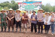 Dukung Program Ketahanan Pangan di Kabupaten Mura, Desa Air Satan jadi Lokasi Tanam Jagung Perdana 