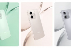 HP Honor Terbaru 2026: Honor 600e dengan Layar OLED dan Baterai Besar