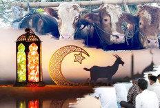 Waspada Usai Lebaran Idul Adha 2025, Jangan Salahkan Daging Jika 7 Penyakit Bakal Muncul