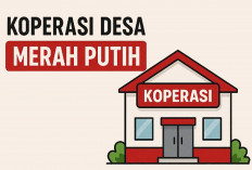 Semua Koperasi Merah Putih di Musi Rawas Sudah Berbadan Hukum Siap di-Launching  