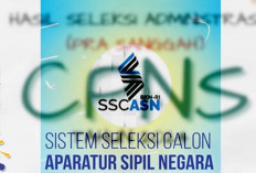 Sanggahan CPNS 2024 Ditolak Lagi, 4 Kesalahan dan 2 Kategori yang Dilakukan 