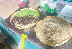 Martabak Manis Aneka Rasa Hanya Rp 10 Ribu, Disini Belinya