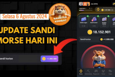 Baru Sandi Harian Hamster Kombat Hari Ini 6 Agustus 2024, Dapatkan hingga Jutaan Koin Gratis 