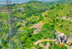 Tembus Fortune Global 500, PLN Terus Perkuat Daya Saing di Kancah Dunia