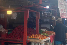 Harga Cabe Merah Keriting di Pasar Bukit Sulap Stabil