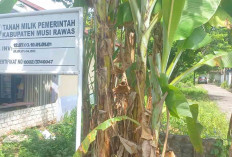 Penghuni Rumah di Eks Disnakertrans Musi Rawas Diminta Pindah Pertengahan Desember 