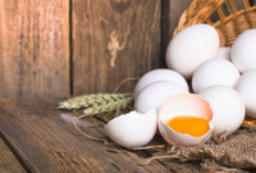 5 Manfaat Telur Ayam Kampung Bagi Kesehatan, Ampuh Menjaga Kesehatan Otak dan Memperkuat Tulang