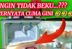 Inilah 5 Cara Mengatasi Kulkas Yang Tidak Dingin, Ternyata Mudah