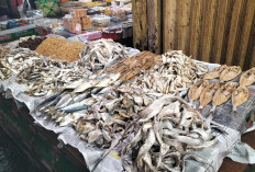 Aneka Ikan Asin dan Ikan Kering Menu Favorit Sahur dan Berbuka di Bulan Ramadan