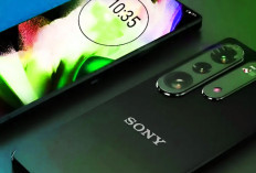 7 HP Sony Masih Jadi Rekomendasi 2025, Ini Keunggulan dan Cek Ponsle ini Masing-masing 