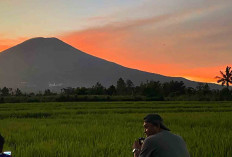 Pesona Gunung Dempo Saat Matahari terbit, Ini Panduan Liburan ke Pagar Alam