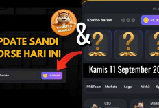 Sandi Harian dan Combo Harian Hamster Kombat Hari Ini Kamis 12 September 2024