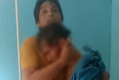 Mengerikan, Petani di Musi Rawas Luka Serius Usai Diserang Beruang