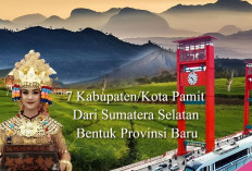 Izin Pamit 7 Kabupaten dan Kota di Sumatera Selatan, Bentuk Provinsi Baru dengan 3,3 Juta Penduduk