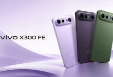 Vivo X300 FE Masih Absen di Indonesia, Padahal Sudah Kantongi TKDN dan Siap Jadi Flagship Compact