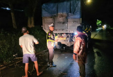 Ngebut, Pengendara Motor Honda Supra X di Lubuk Linggau Tabrak Truck Sedang Berhenti 