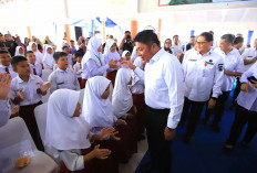 Banyak Warga Terjangkit DBD, Gubernur Sumsel Targetkan Nol Kematian Akibat DBD Tahun 2030