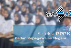 Pendaftar PPPK 2024 Buruan Cek di SSCASN, Info Ada 1.771 Formasi di PALI