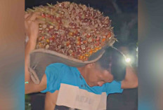 Kedapatan Curi Sawit, Pria di Muara Lakitan Diarak Warga Keliling Kampung