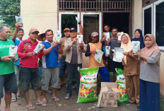 Poktan Karya Makmur Air Satan Dapat Pupuk Subsidi Program KSA