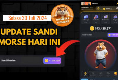 Sudah Keluar Sandi Morse Hamster Kombat Hari Ini 30 Juli 2024, Dapatkan Jutaan Koin Gratis 