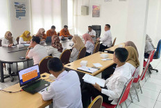 Data Indeks Pembangunan Ketenagakerjaan Muba : Mengidentifikasi Kekuatan dan Kelemahan