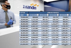 KUR Mandiri 2025, Begini Peluang Pembiayaan untuk UMKM dengan Syarat Mudah