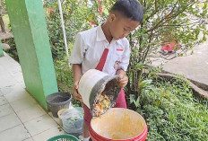Siswa SDN 75 Lubuk Linggau Antusias Ikut Olah Sampah Jadi Pupuk Organik
