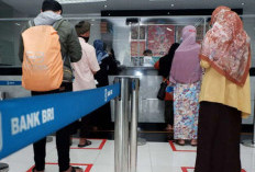 Sebelum Ajukan KUR BRI Rp200 Juta, Cek Dulu Simulasi Angsuran dan Syarat Wajibnya Disini